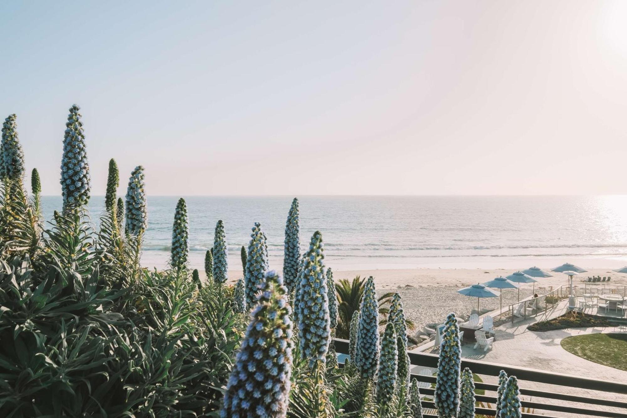 Waldorf Astoria Monarch Beach Resort & Club Dana Point Dış mekan fotoğraf